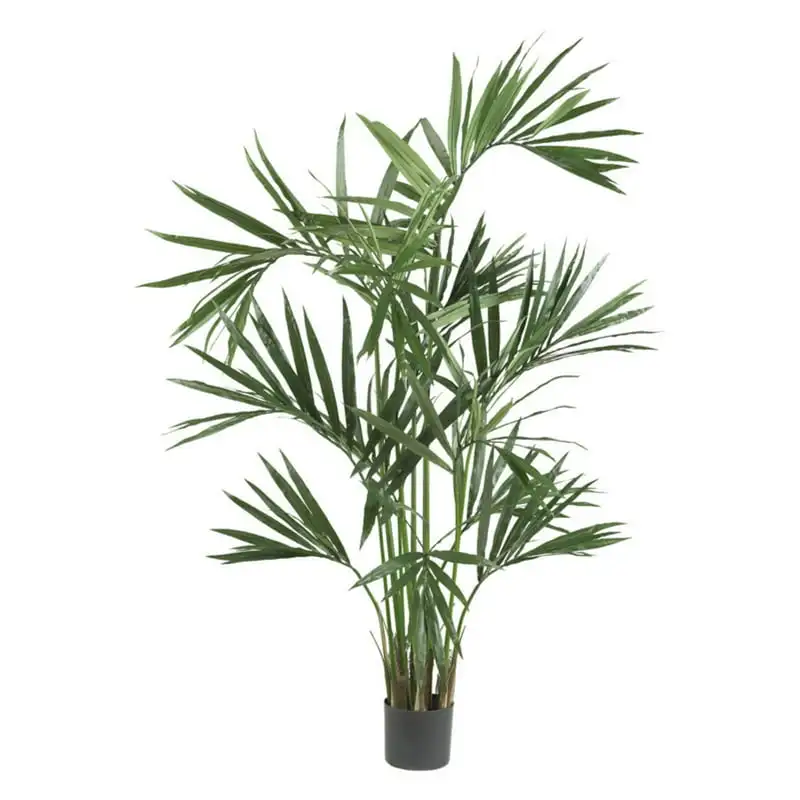 

Silk Tree