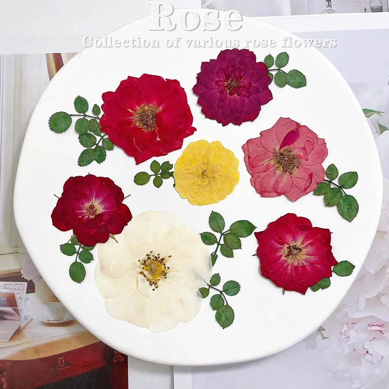 

60pcs Pressed Dried Red Yellow Pink Rose Flower Plants Herbarium For Jewelry Bookmark Scrapbook Phone Case Candle Lampshade DIY