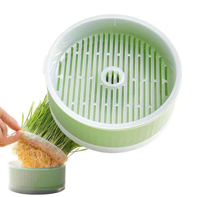 

Cat Snack Mint Planting Hydroponic Plastic Box Cat Pot Contrast Hydroponic Det Cat Grass Plant Bowl Without Seed Garden Supply