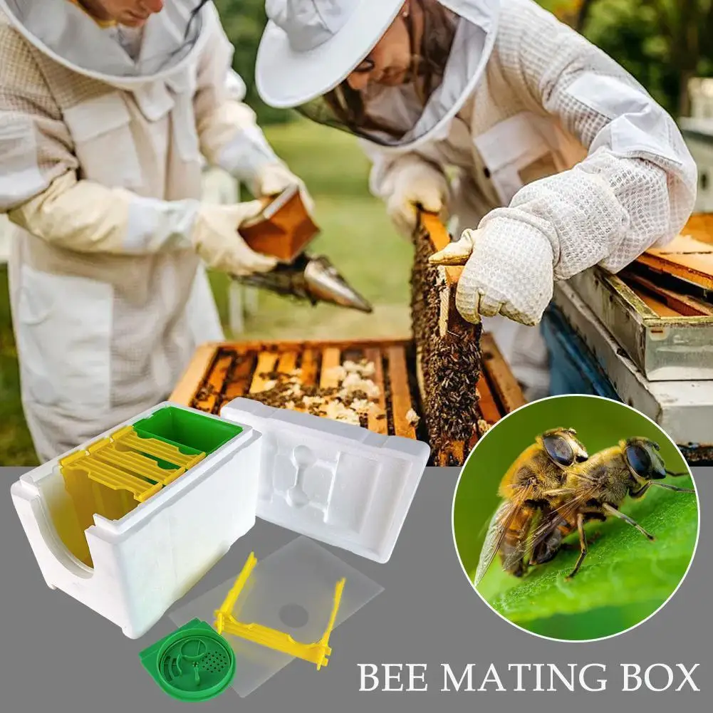 

Queen Bee Rearing Mating Beehive Bee Mating Box Foam Bee Equipment Pollination Breeding Garden Hive Beekeeping Bee Box Box M5N1