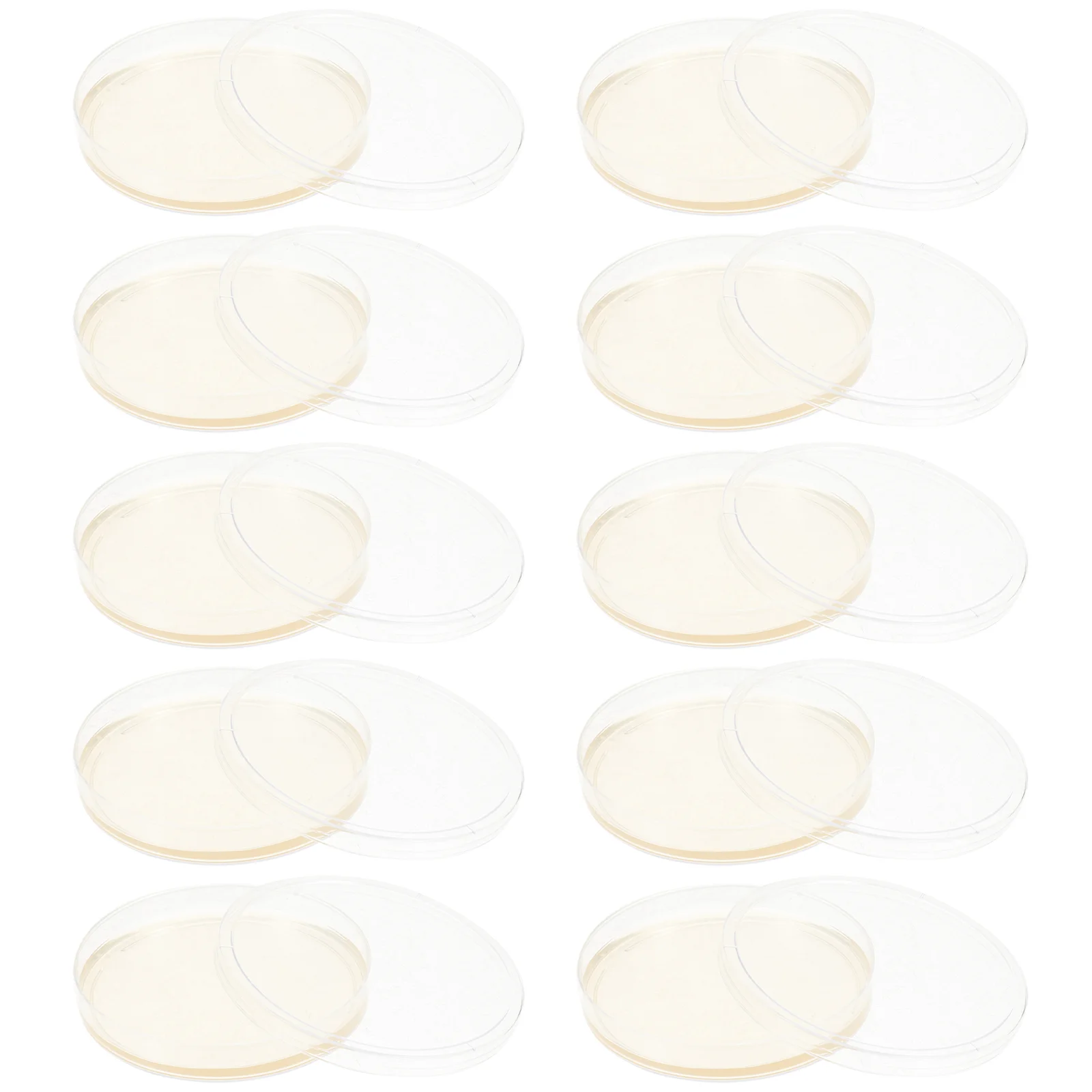 10 шт. тарелка с питательным агаром тарелки для культивирования тканей