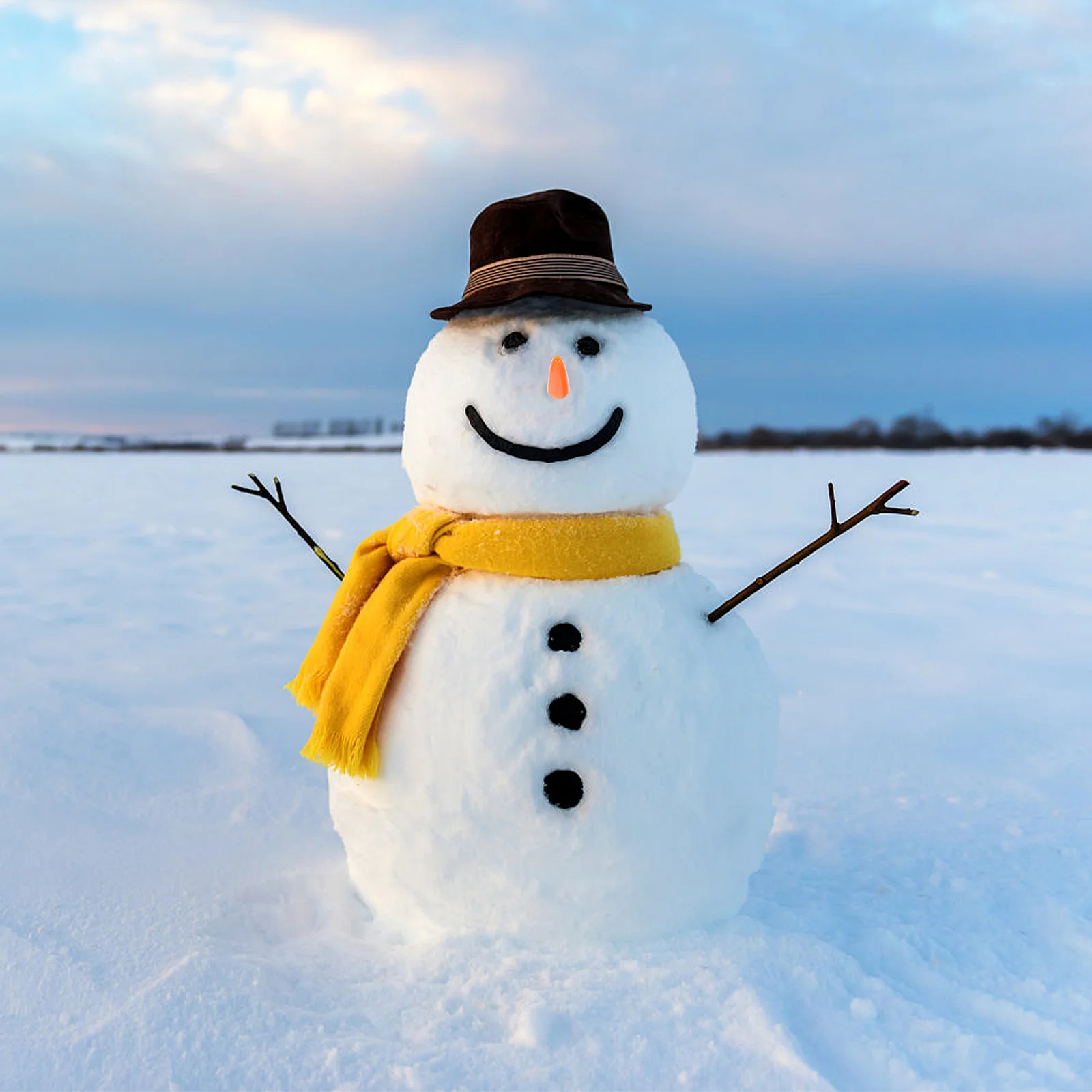 Winter funk. Снеговик с большим ртом. Снеговик с букетом. Build a Snowman. Dream about Snowman.