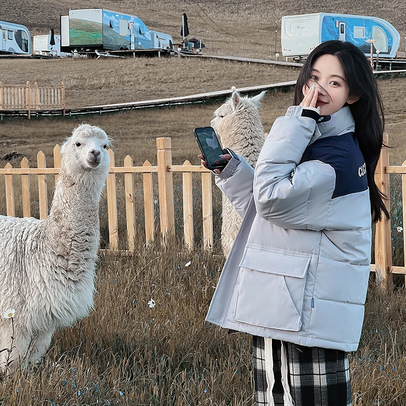 2023 Korean Winter Jacket Promotion women's Cold-proof Coat Short Coat Short Coat