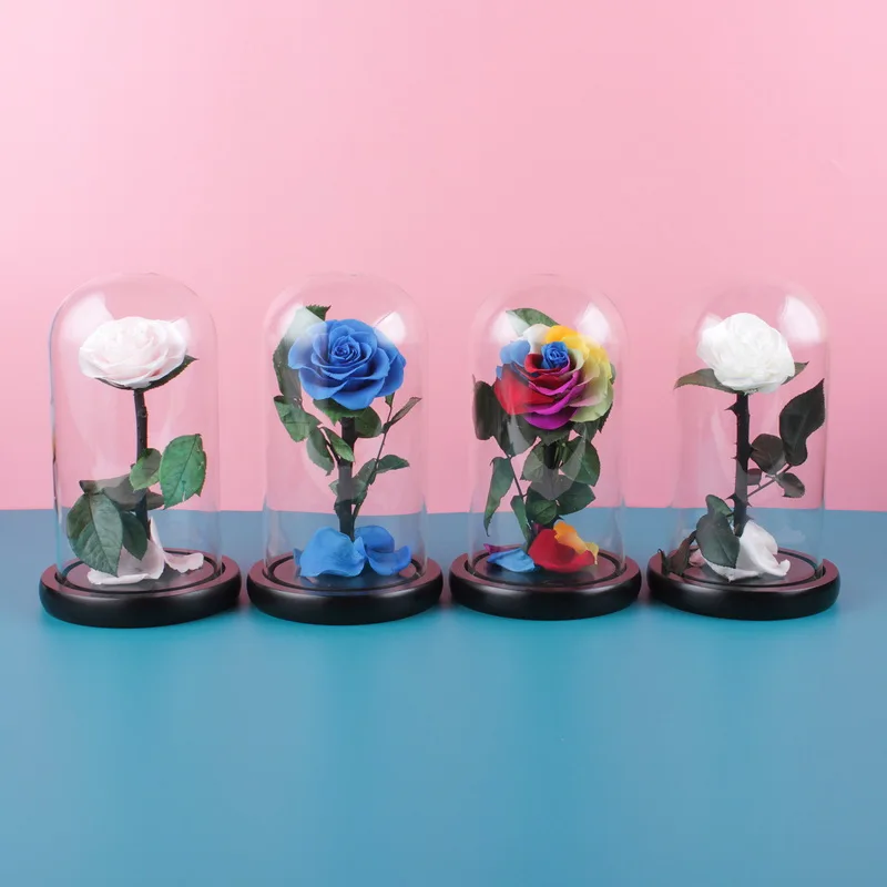 

Hot Enchanted Galaxy Rose Eternal Flower With Fairy String Lights In Dome For Christmas Valentine's Day Gift