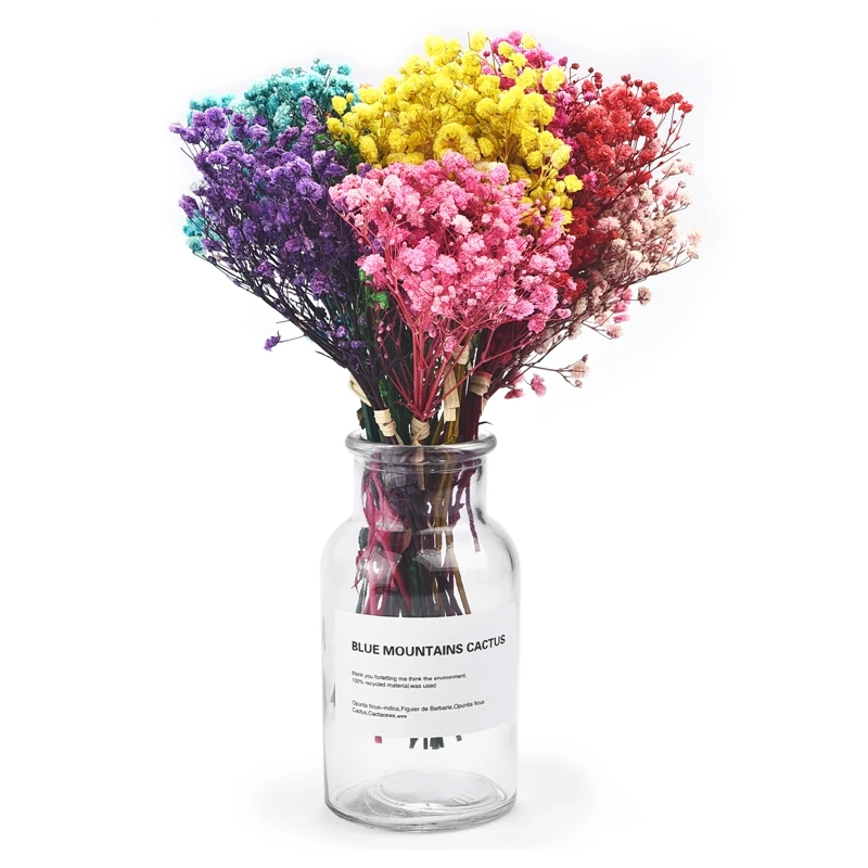 Сушеные цветы Mini Gypsophila натуральный цветочный букет из растений Babysbreath Свадебная