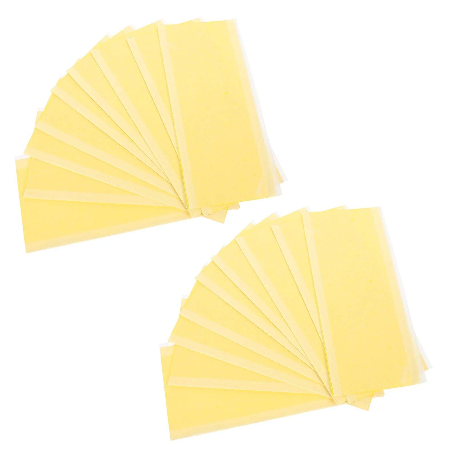 

20pcs Flies Sticky Traps Gnat Traps Fruit Fly Sticky Traps for Kitchen Plants