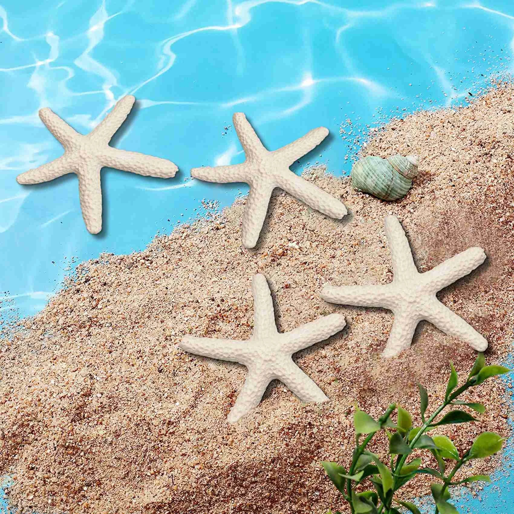 

15 Pieces creamy-white Pencil Finger Starfish For Wedding Decor, Home Decor And Craft Project