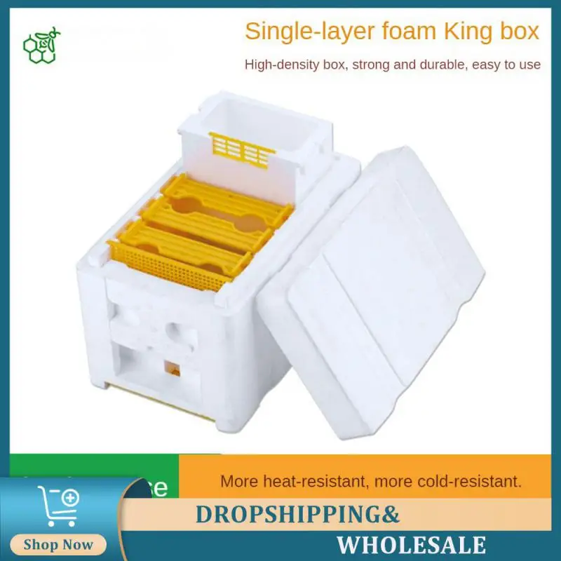 

Foam Beehive Breeding Feeder Mini Beekeeping Tools Pollination Box Mating Mating Kings Box Foam Toolbox