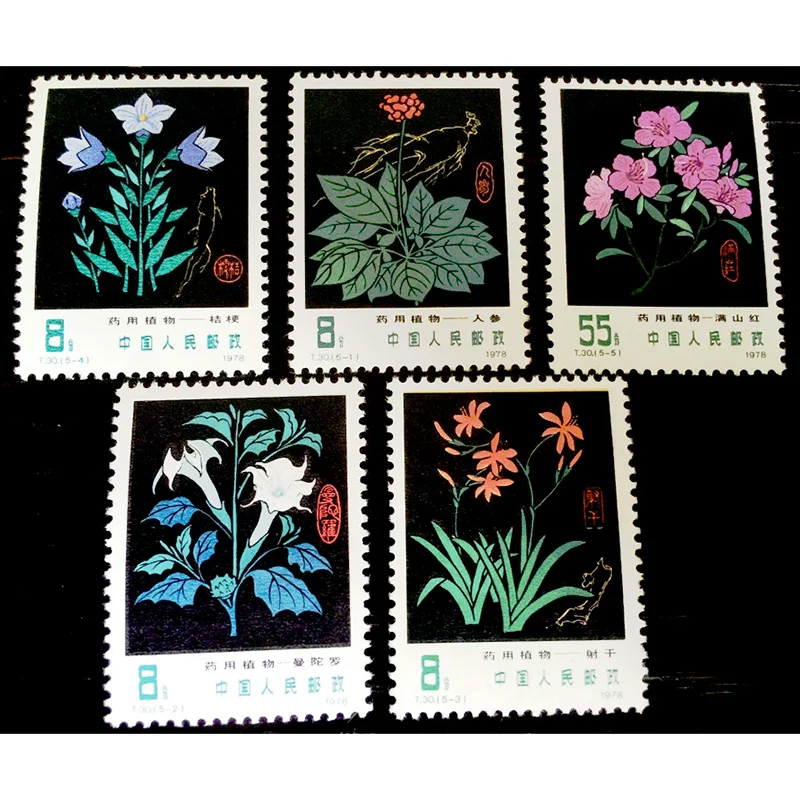 

1978 ( T30 ), Medicinal Plants . Post Stamps . 5 pieces . Philately , Postage , Collection