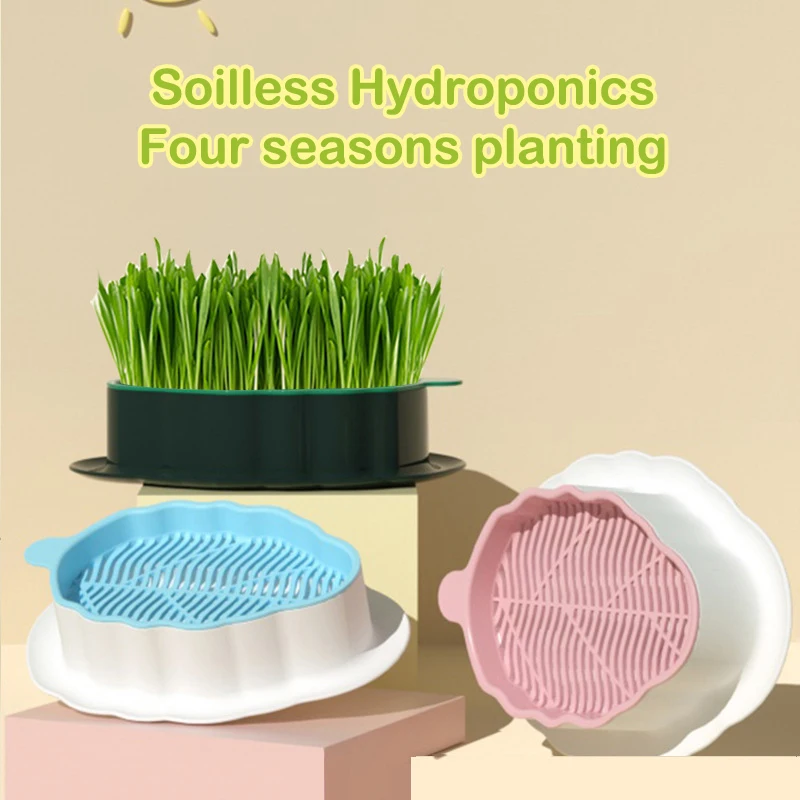 

Закуска для кошки, кошки, мяты, посадки, гидропонная коробка для кошки, Цветовая контрастная коробка для гидропоники, кошки, травы