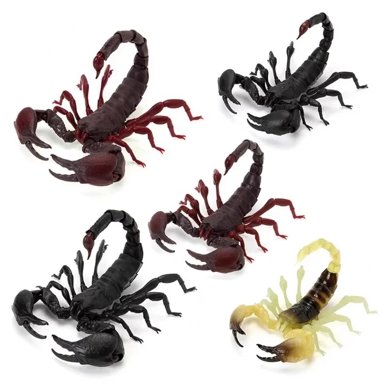 

Bandai Original Insect Simulation Model Gashapon Black Red Scorpion Action Figures Collectible Decoration Kids Toys Gift