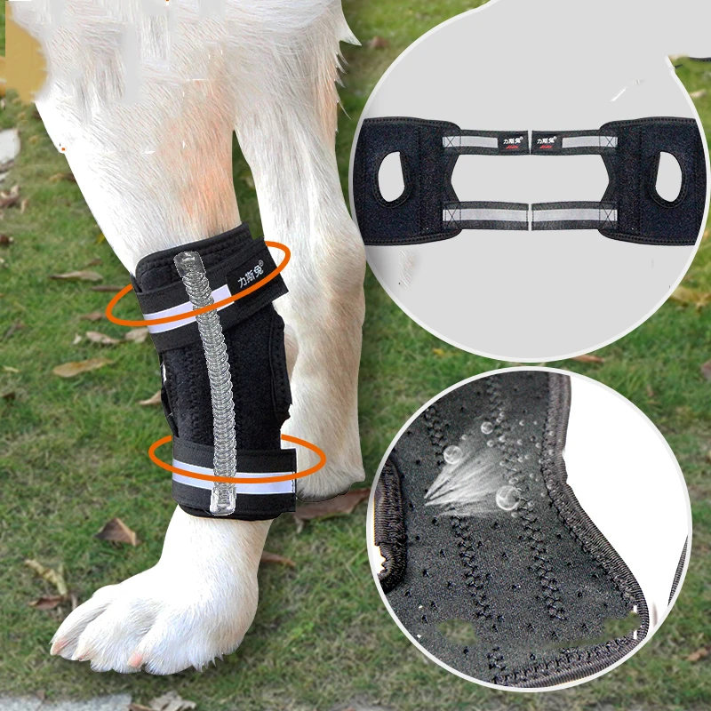 

Фиксированная шина для перелома собак, защитный рукав для собачьих суставов, кронштейн для слабости задней ноги, вспомогательный пояс для а...