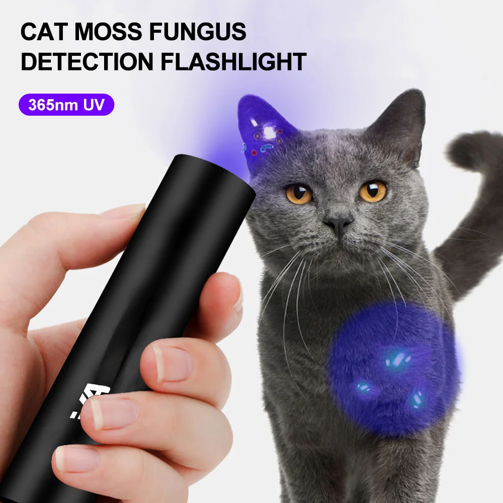 

C5 365nm/395nm UV Flashlight Ultraviolet Lamp USB Rechargeable Torch For Pet Moss Detector Cat Dog Stains Bed Bug Moldy Food