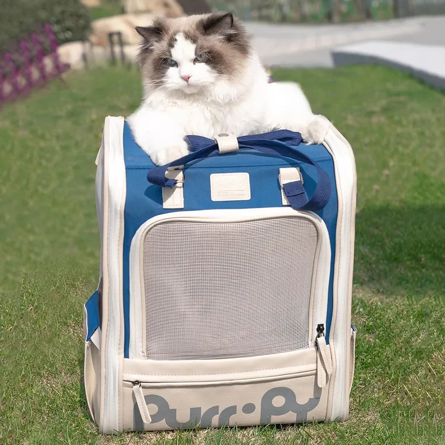 Сумка с милым котом рюкзак для девушек дорожная уличная сумка кошкой портативная