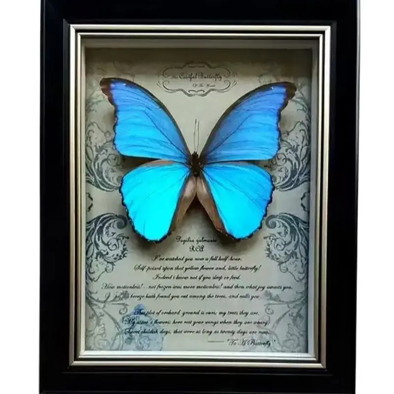

Real butterfly specimen photo frame insect real specimen teaching home decoration wedding birthday gift home accessories