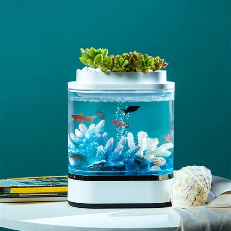 Mini Desktop Aquarium Starter Kit With USB Air Pump LED Ligh