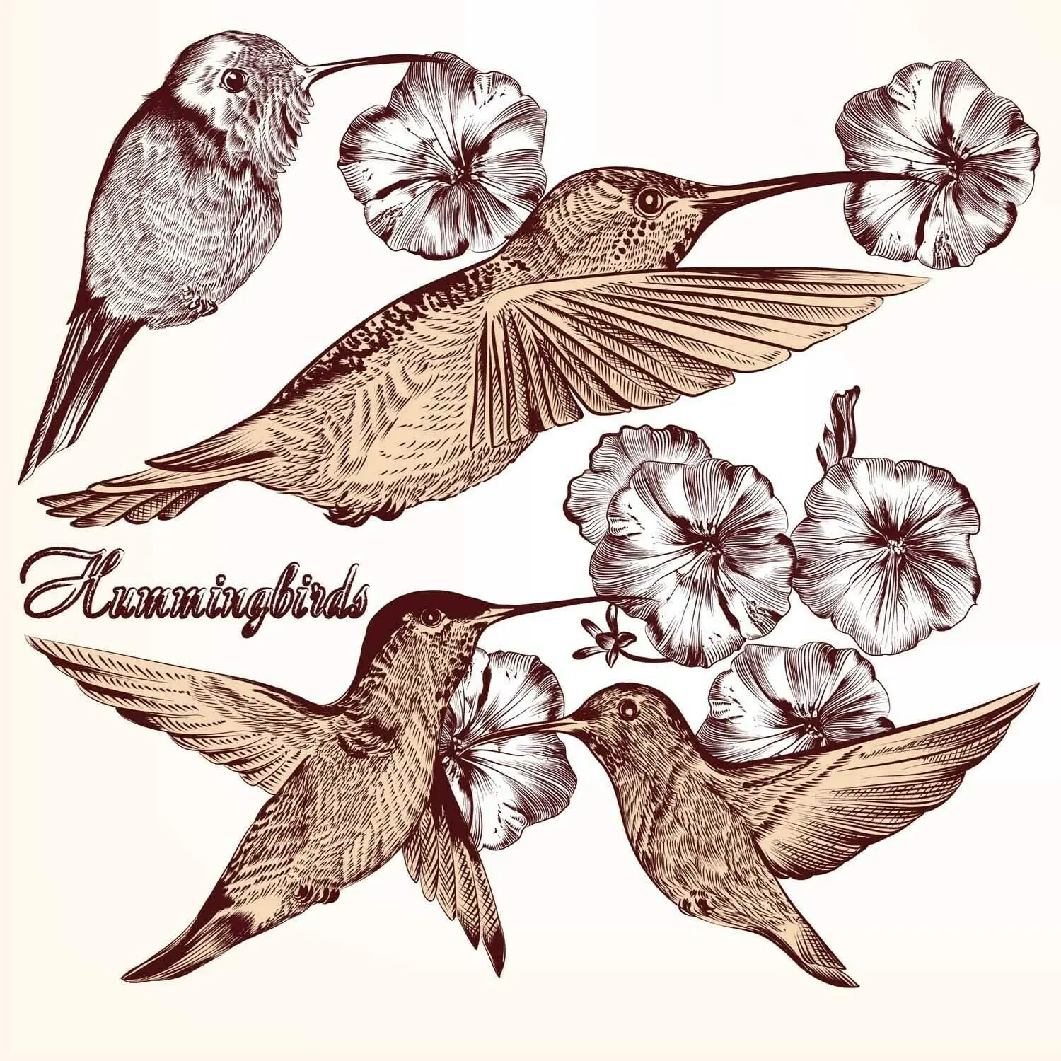 Новый Винтажный Ретро металлический жестяной знак цветок Колибри для дома кухни