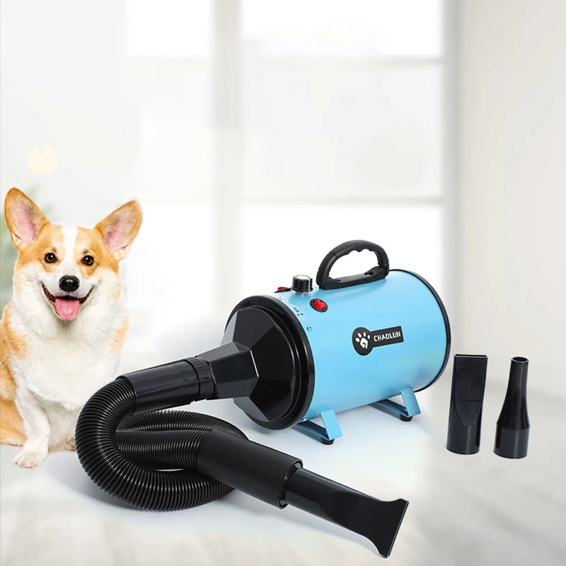 Powerful Dogs Hair Dryer Silent Hairdryer Secador Fast Water Blower Blow Dryer Warm Wind Cat Blaster Dryer Pet Grooming Products