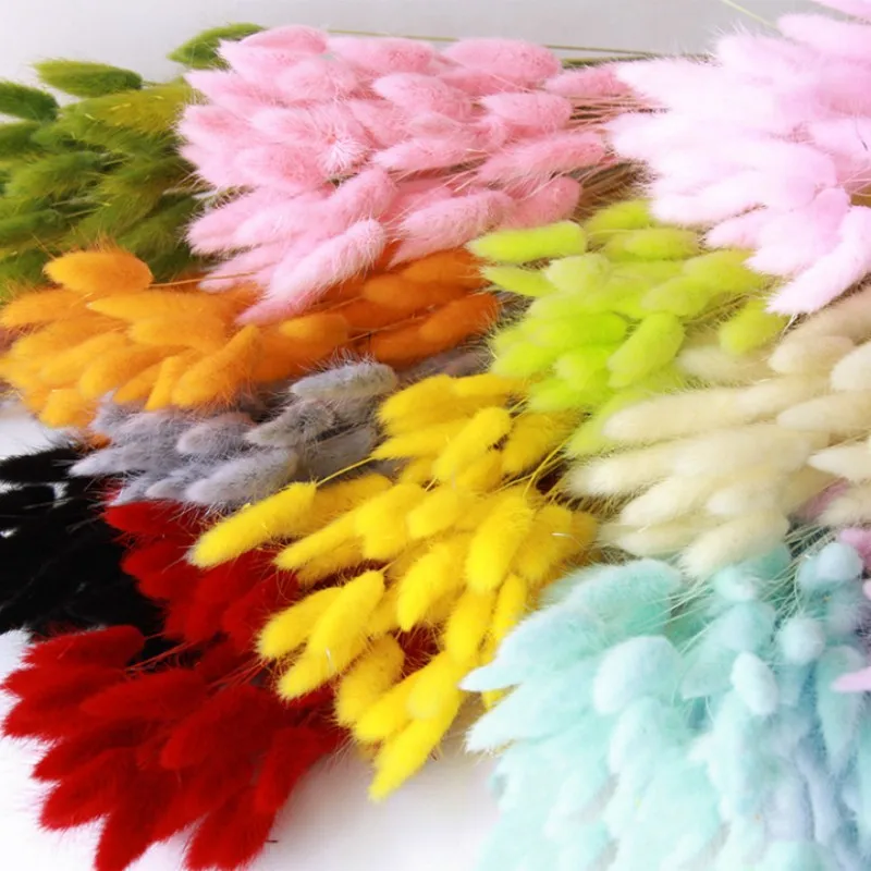 

30pcs Natural Bunny Tail Grass Fluffy Pampas Grass Dried Flowers Bouquet Indoor Living Room Wedding Party Decoration Fake Flower