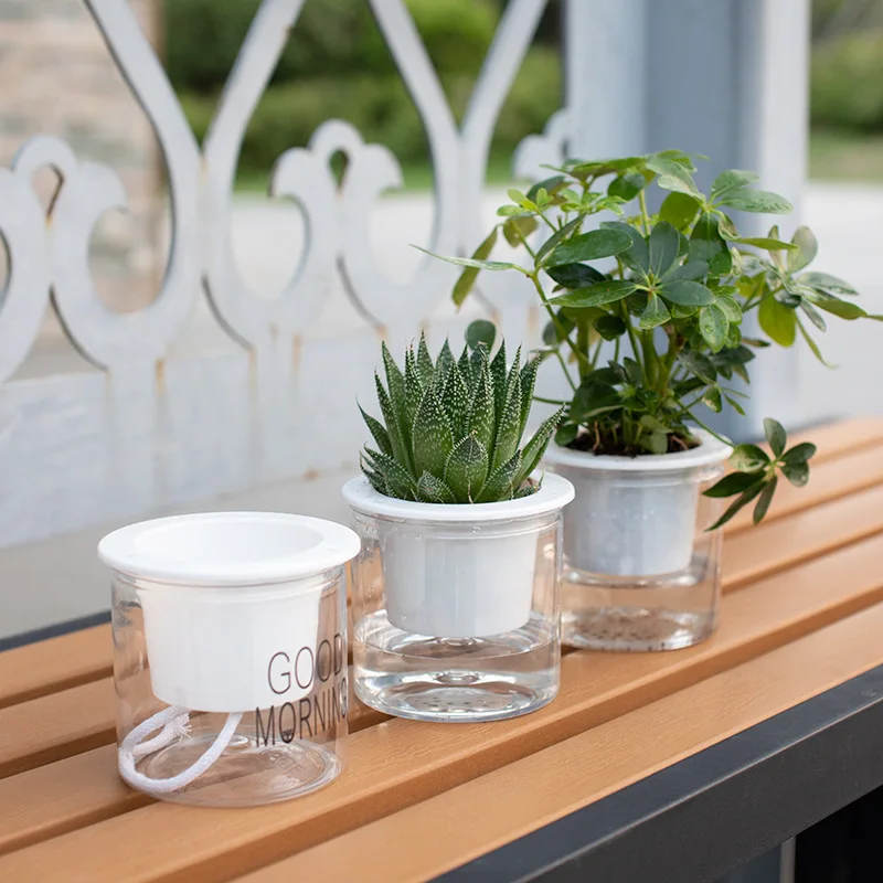 

Automatic Water Absorption Transparent Lazy Creative Circular Office Desktop Green plants Hydroponic Plastic Flower Pots.