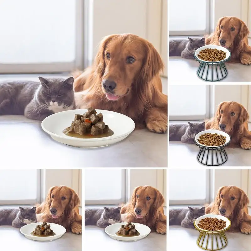 

Non-Slip Cat Bowl Pet Water Food Feeder Dog Elevated Bowls Pet Ceramic Food Pot With Iron Stand Cats Feeding Bowl Pet Supplies