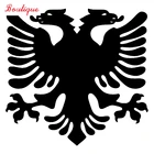 Двойной Орлан Аксессуары подходят для украшения Mercedes w204mk4, Toyota corolla и других моделей.