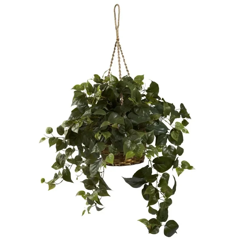 

Unique Green Polyester Philo Plastic Artificial Plant Hanging Basket with Long Lasting Beauty and Natural Ambiance to Enhance Yo