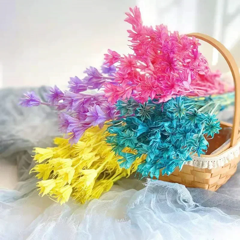 Очаровательный цветок аниса. Натуральные сушеные цветы: идеально подходят для