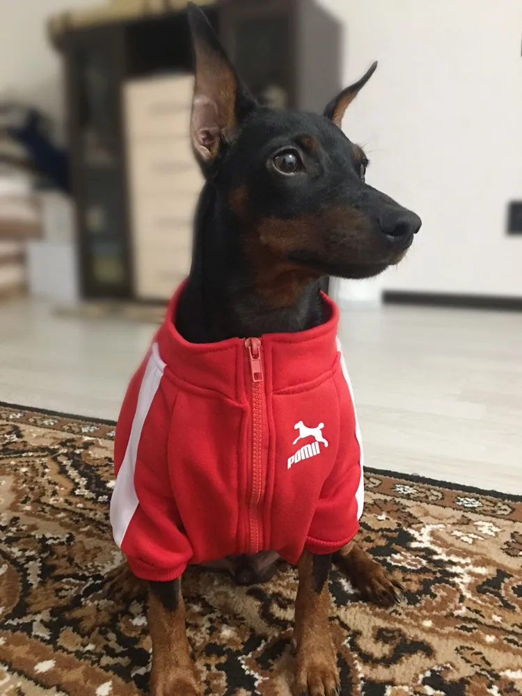

Winter Pet Clothing Dog Sweatshirts for Small To Medium Dogs, Fleece Zipper Dog Jacket, Chihuahua French Bulldog Dog Clothing