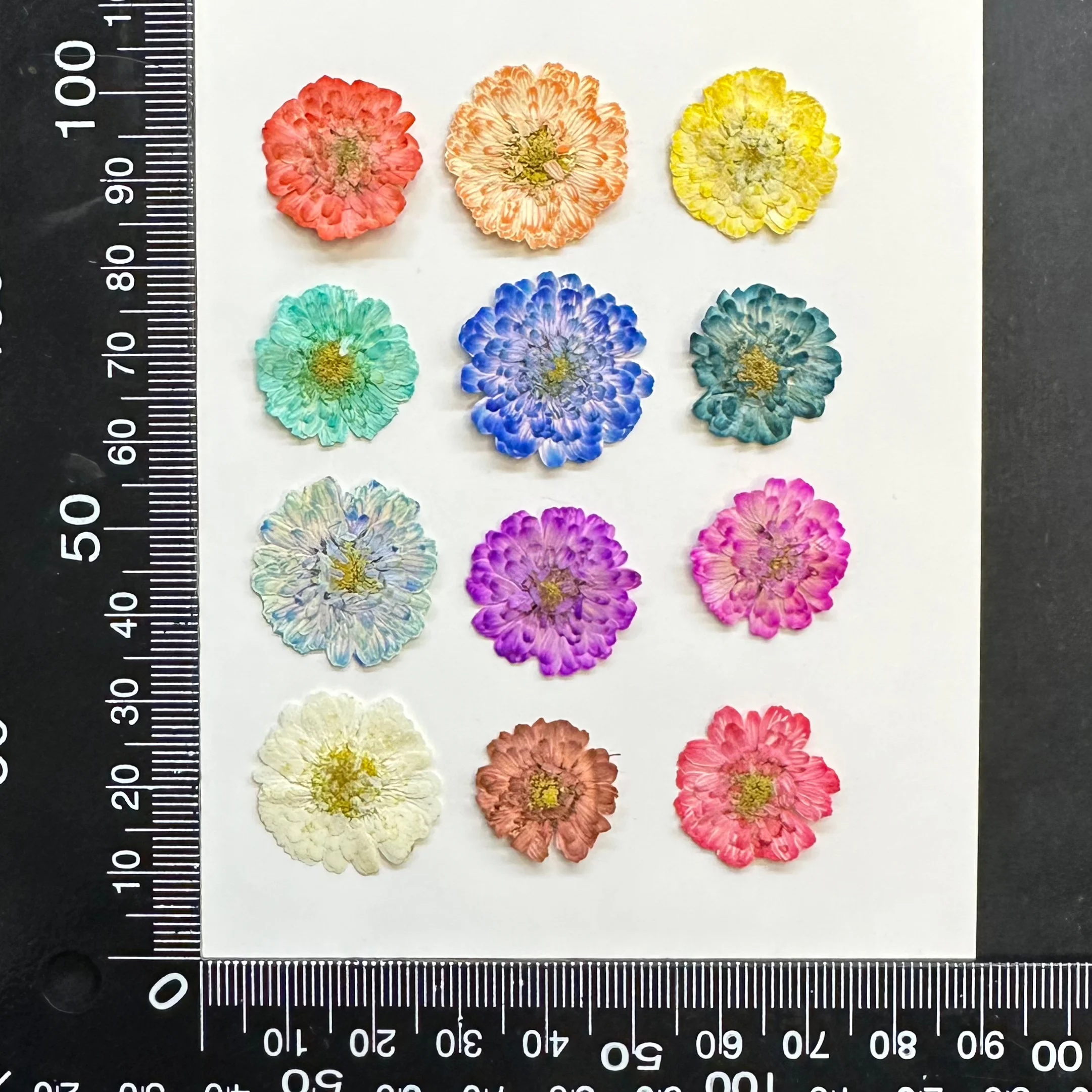 

Сухие прессованные ромашки NYAConfetti 12 шт.