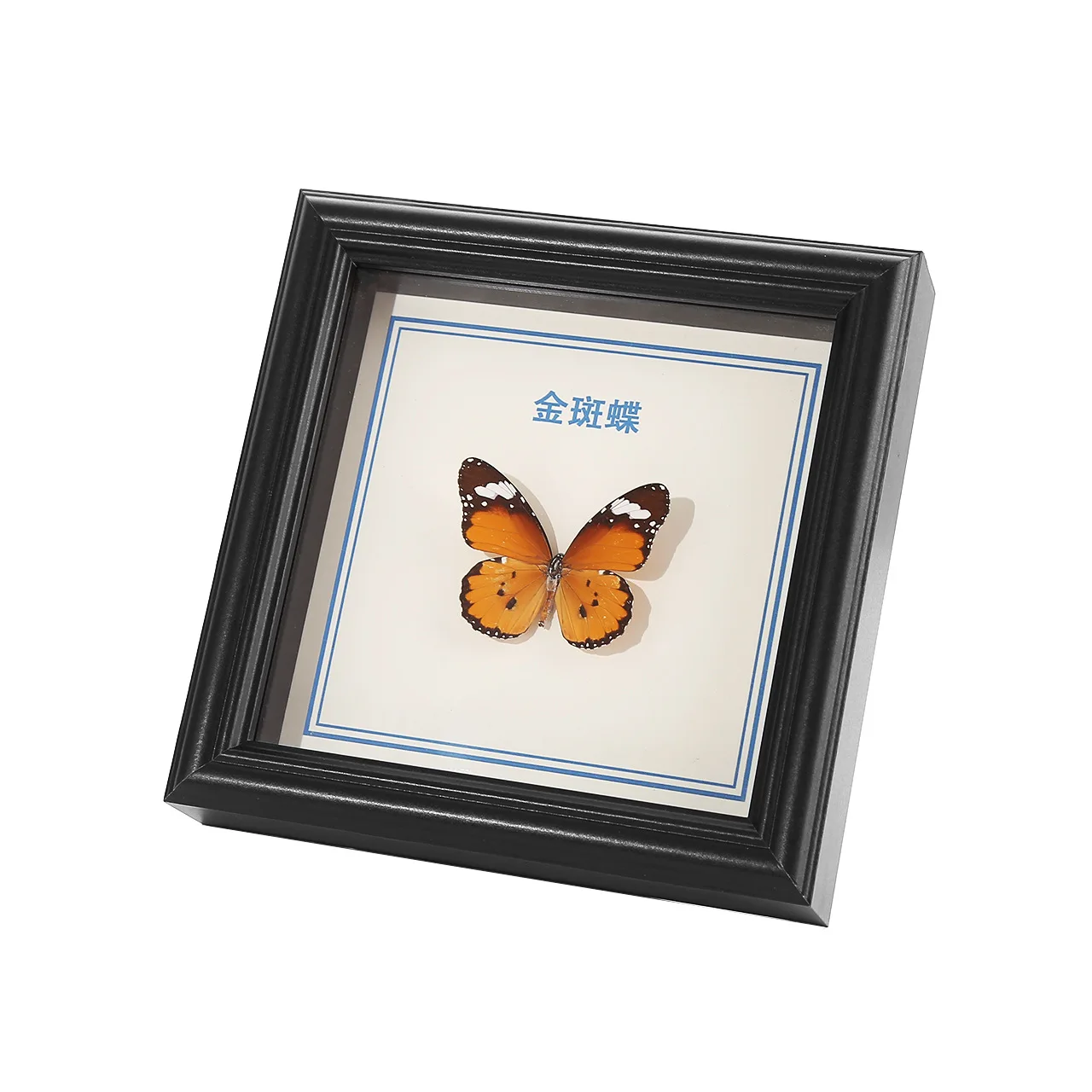 

Рамка для насекомых CHENGWEI