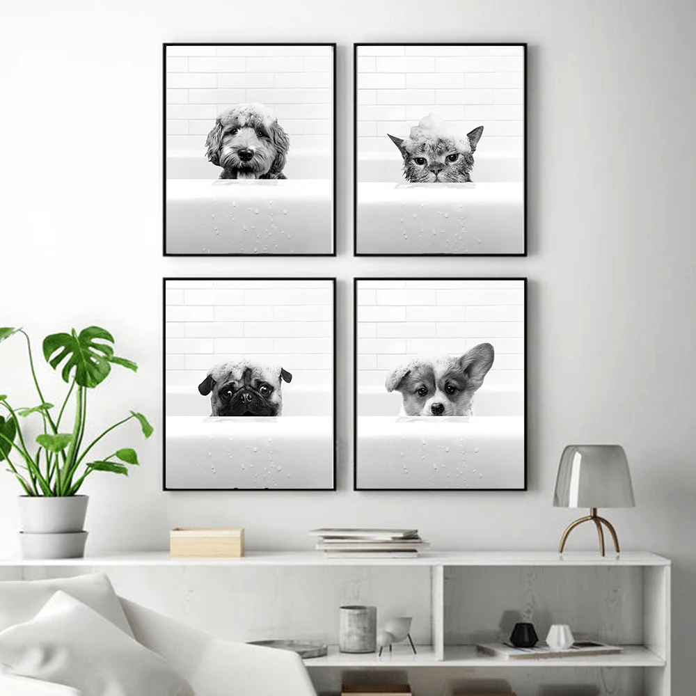 Животные слон кошка собака обезьяна примите ванну искусство на стене Картина