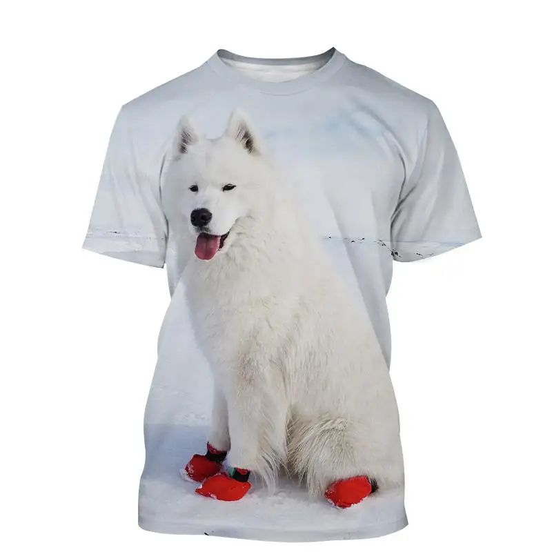 

New Men Ladies Kids Casual T Shirts 3d Print Cute Animal Dog Samoyed Pattern Breathable Lightweight Summer Sports Top