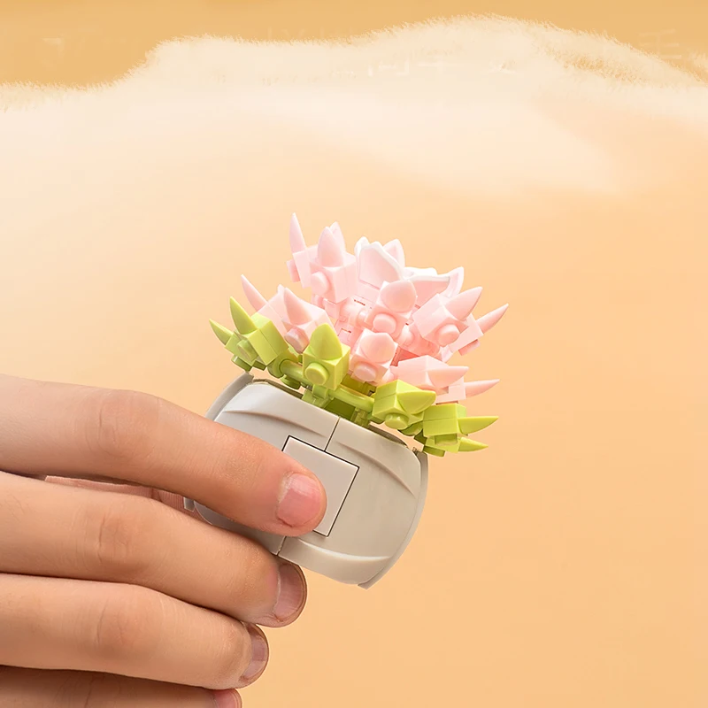 Звездный цветок строительные блоки суккуленты растения в горшке милые комнатные