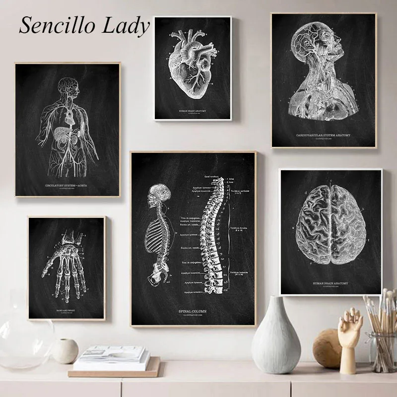 

Black White Human Anatomy Art Poster Spine Brain Skeleton Painting Medical Picture Mural Canvas Print Clinic Hospital Wall Decor