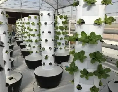 Lyine 2024 новые системы посадки аэропонная вертикальная система 6pTower для теплиц