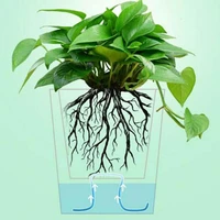 50cm self watering wicking cord plant bonsai hydroponic automatic irrigate rope