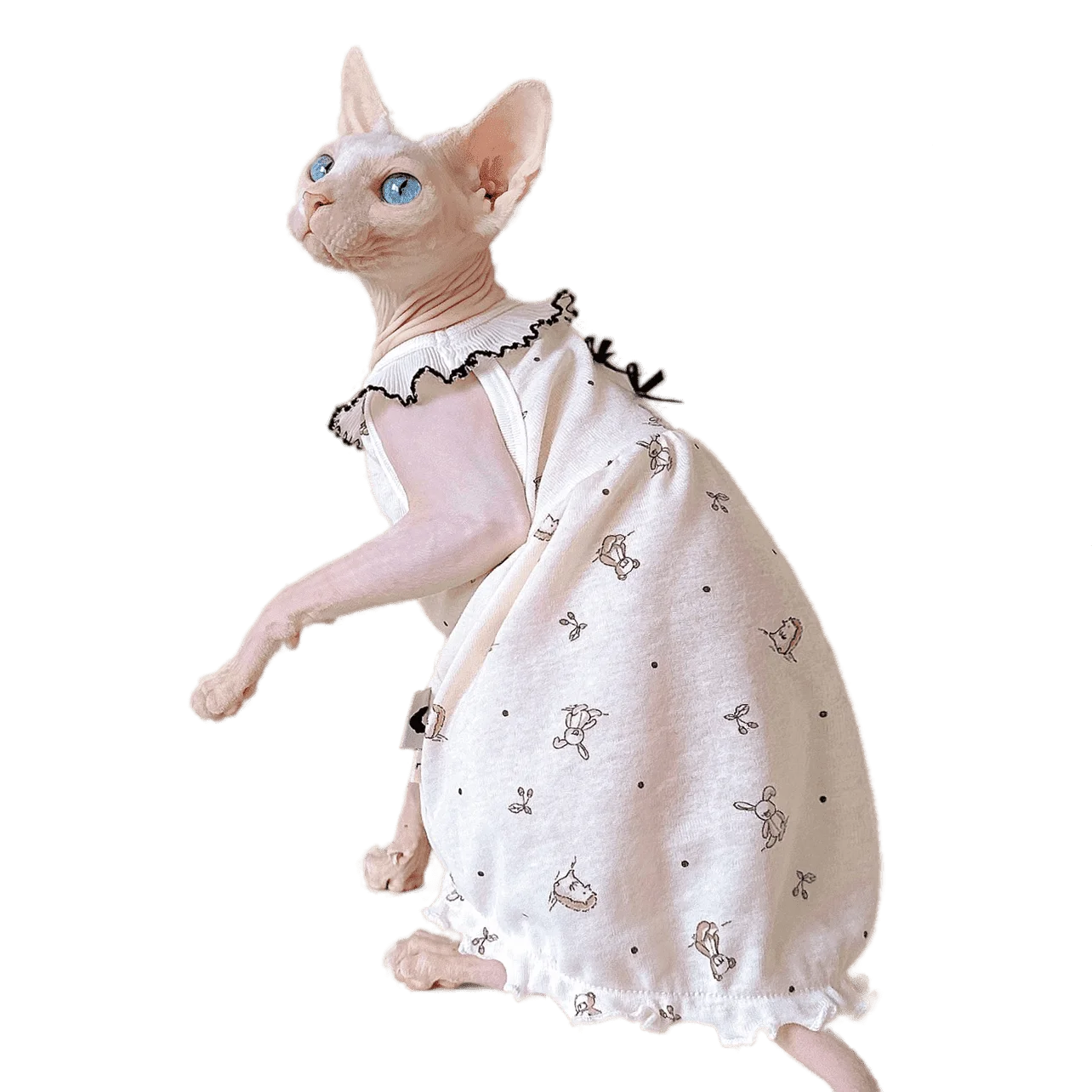 

2023 Cotton Pet Dress Summer Sphynx Hairless Cat Clothes for Cat Devon Rex Conis Cat Costume Kitten Outfits sphynx Cat Dress