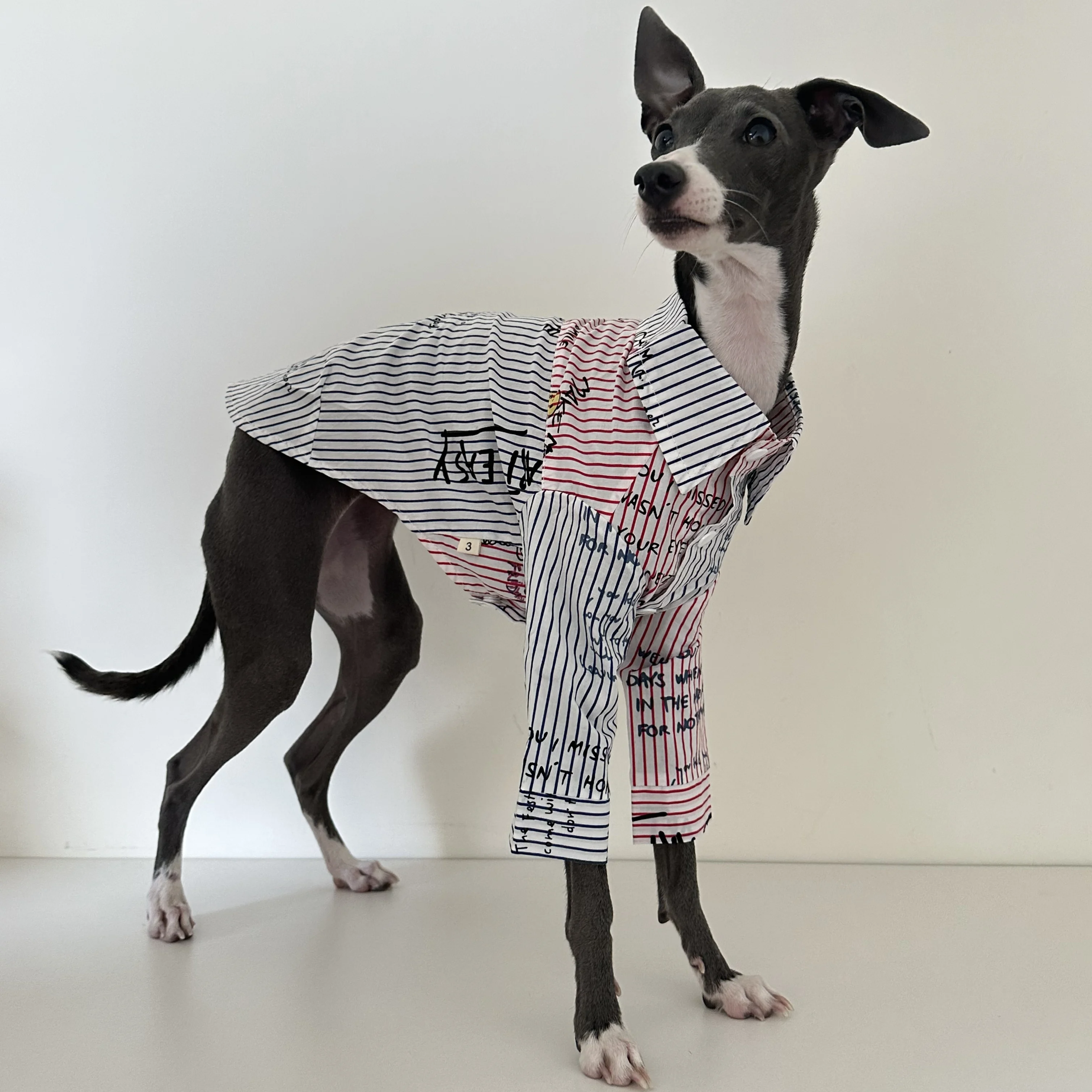

Итальянский комбинезон Greyhound с четырьмя штанинами, зимнее теплое пальто для собак, одежда для собак Greyhound Whitbit