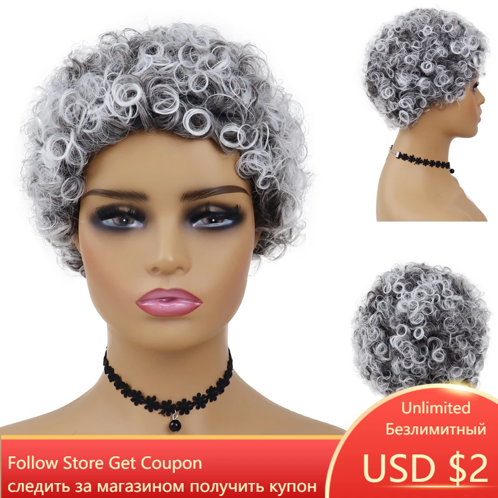 

GNIMEGIL Short Afro Curly Wig Synthetic Hair Grey Wigs for Black Women Daily Hairstyle Color Natural Wigs Colly Dark Roots