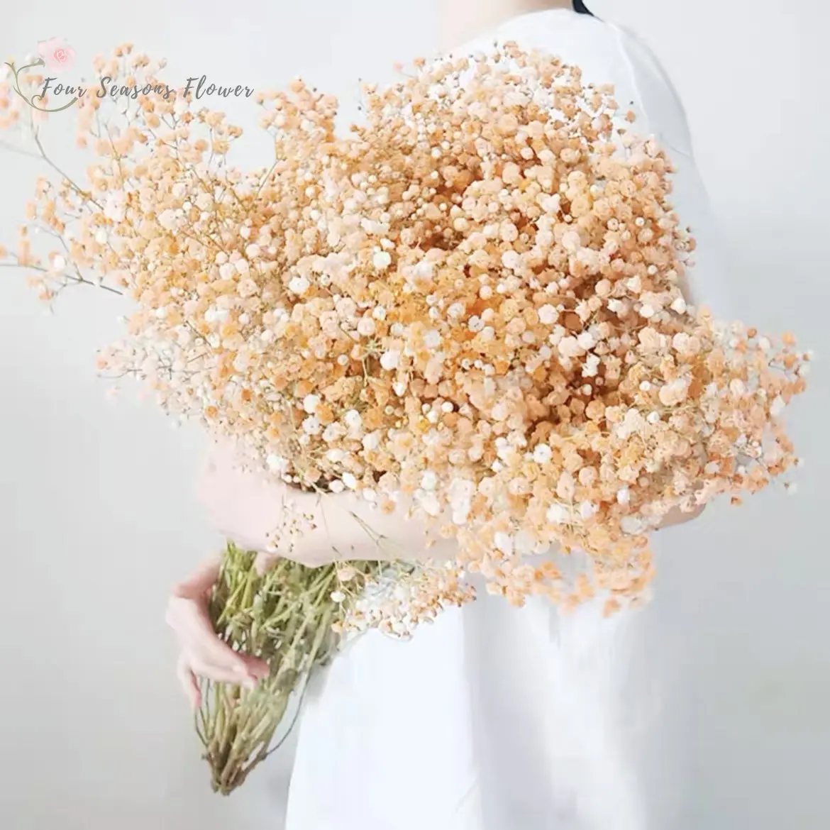 

100g Gypsophile Dried Flowers Baby Breath Floral Bouquet Nordic Home Decor White Artifical Flower Wedding Party Decoration