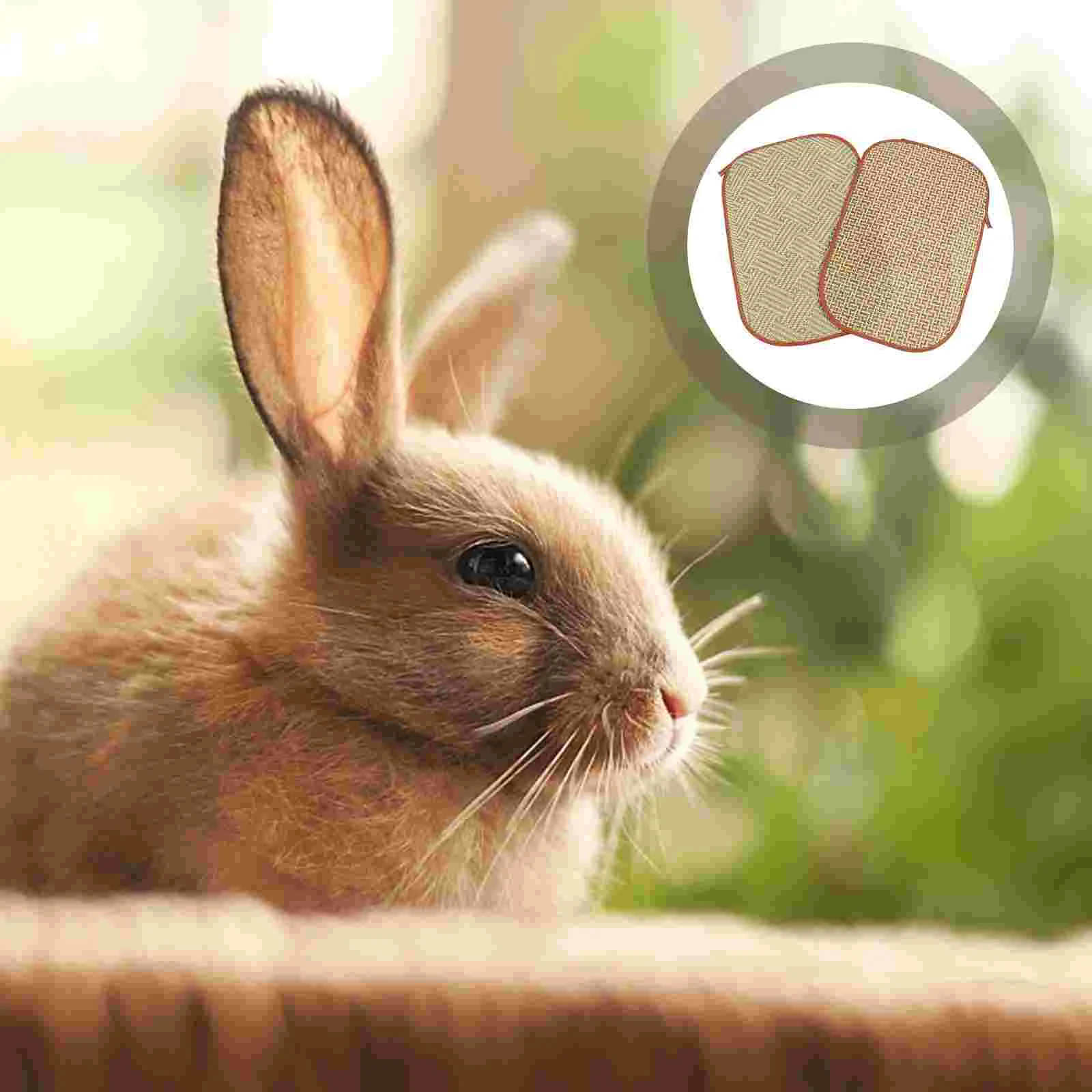

Mat Cooling Dog Bunny Summer Pet Rabbit Hamster Bed Chew Calming Sleeping Woven Pad Cushion Kitten Play Toys Seagrass Cool Dogs