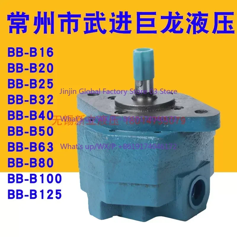 Фото Лидер продаж: Гидравлический насос Changzhou Wujin Julong BB B25 B16 B20 B10 B4 B6 B32 B40 №1