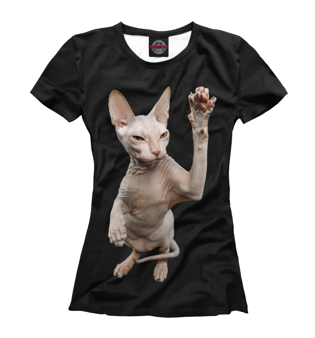 Футболка сфинкс. Футболка сфинкс. Футболка сфинкс. Футболка с канадским сфинксом. Футболка с сфинксом мужская.