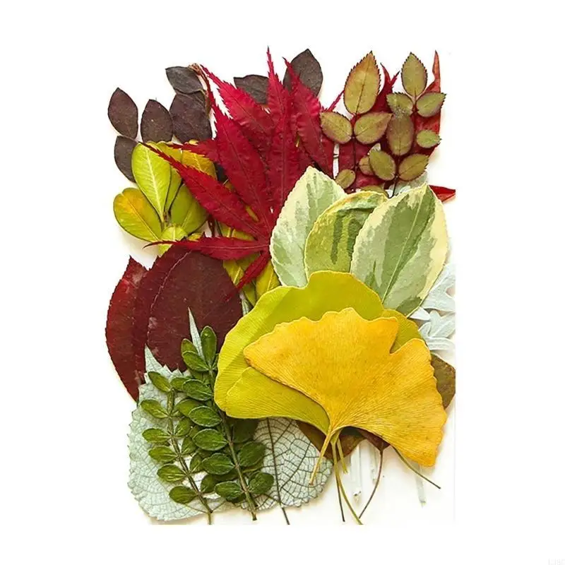 

Натуральные листья ротанга для скрапбукинга