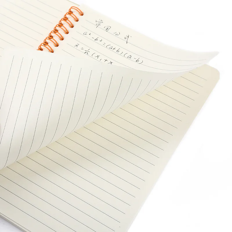 Рисунок 3 - Ретро-книга Morandi с цветными