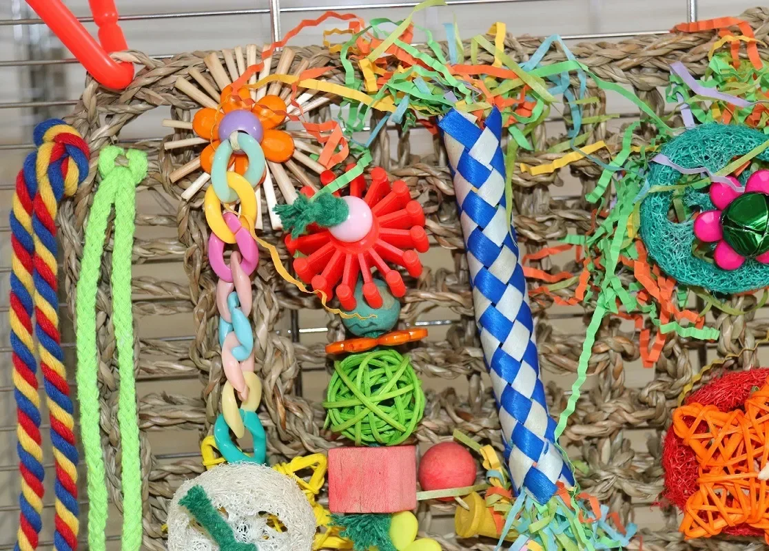 

Toys Budgie Accessories Bird Toy Parrots Chewing Training Cockatiels Swing Foraging Climbing Parakeet Woven Supplies Cage