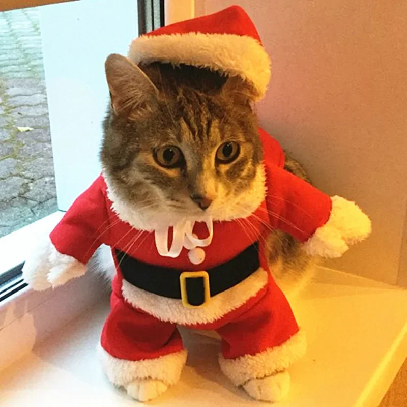 Новогодние костюмы кошка