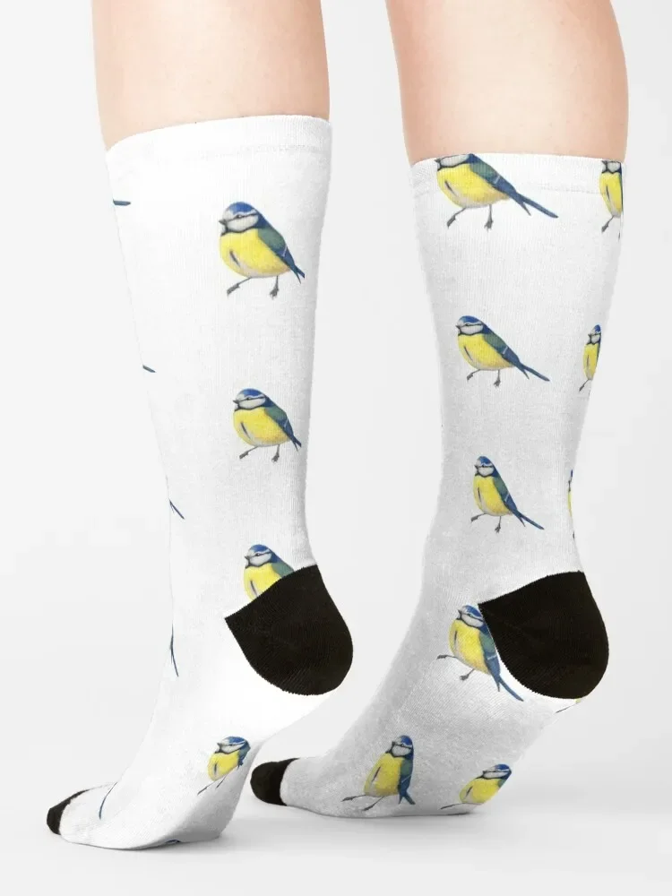 BlueTit-Blaumeise-птица Акварельная Иллюстрация-защита птиц и насекомых проект носки crazy