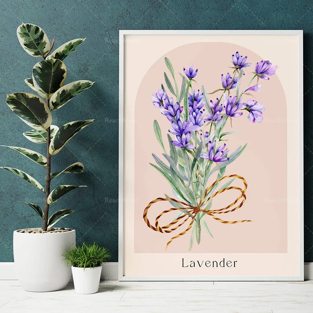 Herbal poster mint herb cumin dill basil licorice arugula fenugreek drawing botanical